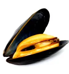 хранителни