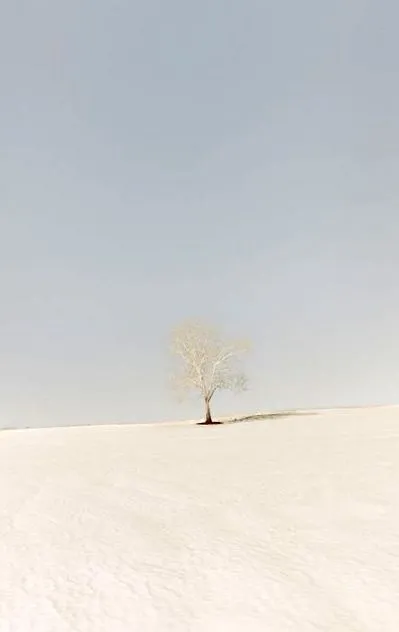 pierderea