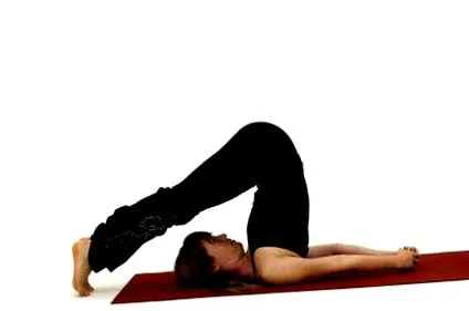 halasana