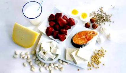 proteină