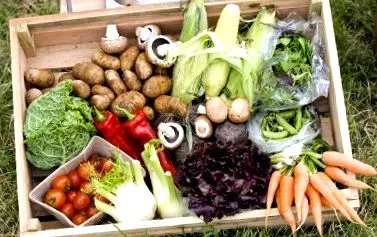 глад