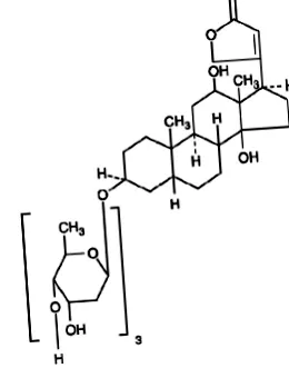 lanoxin