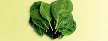 alimentare