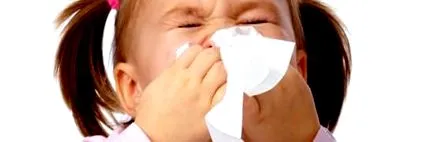 моето