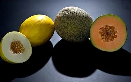 melon
