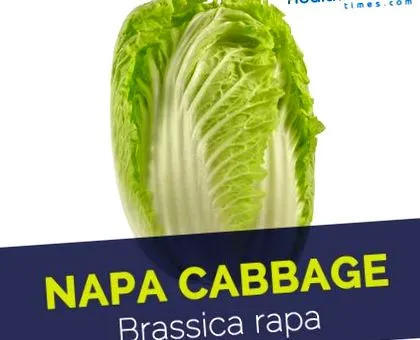 напа