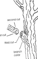 земеделие