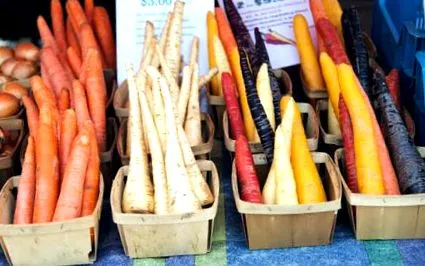 dietă