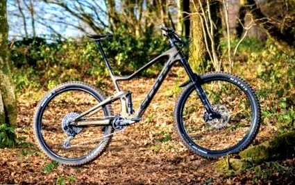 biciclete