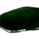 nutrient