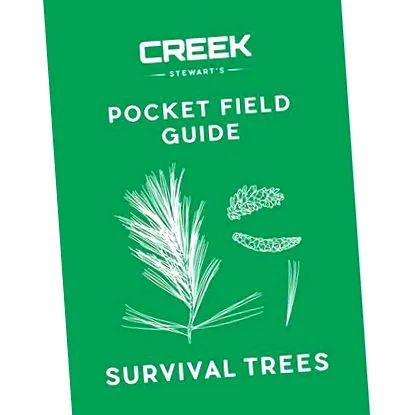 trees basswood