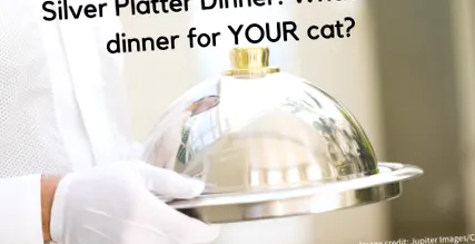 platter