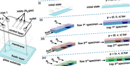 microfluidică