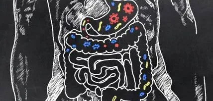 digestia