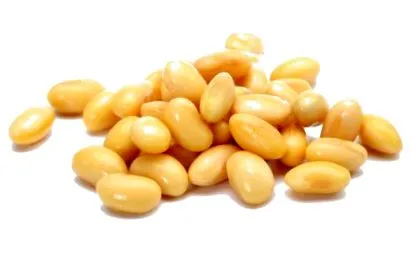 alimente