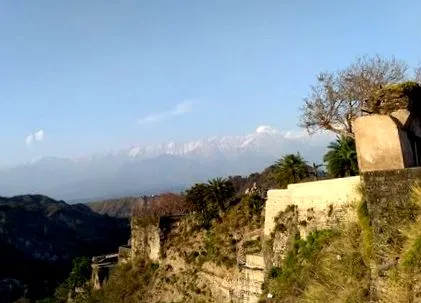 силата