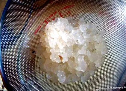 кефирни