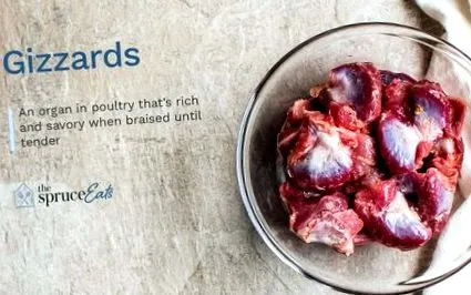 sunt tractul digestiv