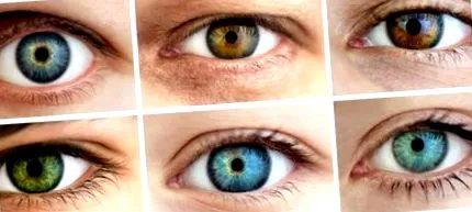 очите здравето