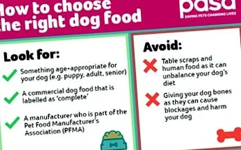 pdsa