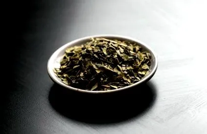 yerba