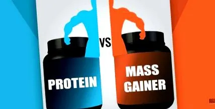 избера gainer