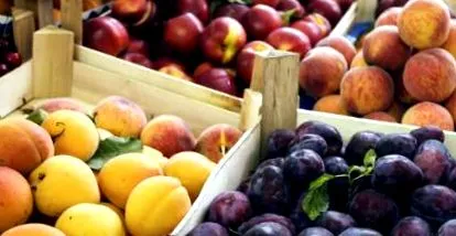 fructe