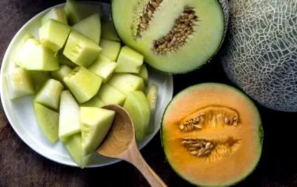 legume