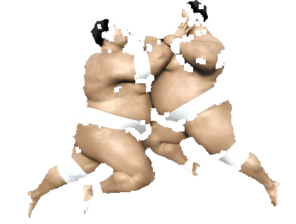 sumo