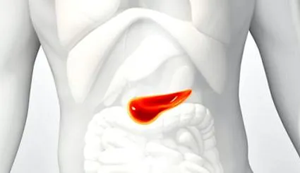 fructe