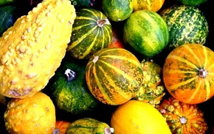 squash