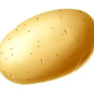 палео