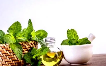 ayurvedic