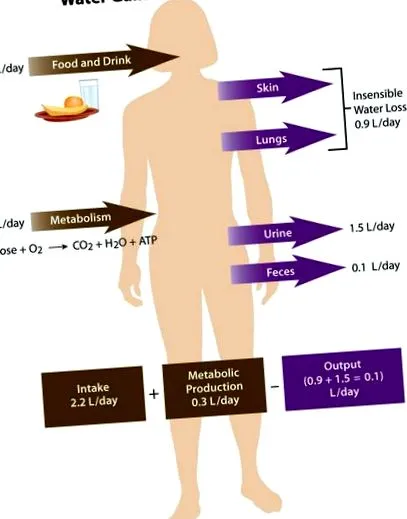 hormonului antidiuretic
