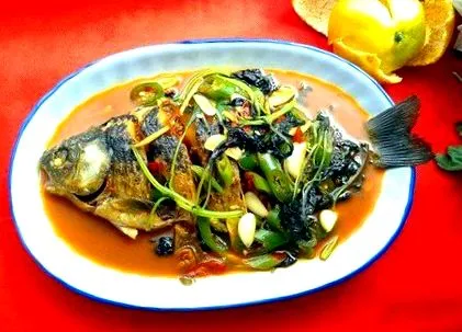 crucian