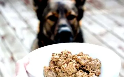 dieta