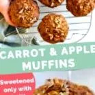muffins