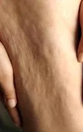зали
