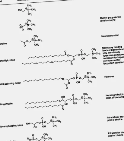 sciencedirect