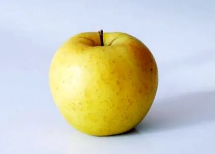 csecsemők