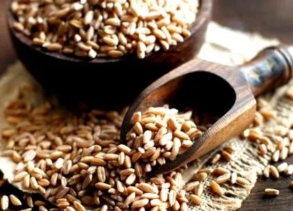 celiacii