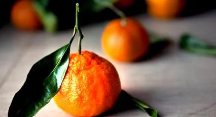 caritatea
