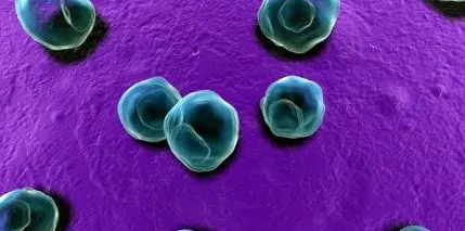 chlamydia