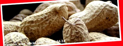 mânca