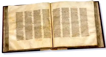 sinaiticus