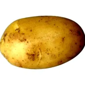 ядат