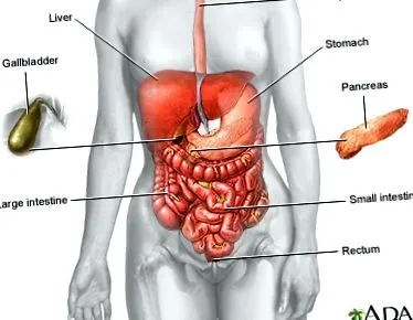 intestinului subțire
