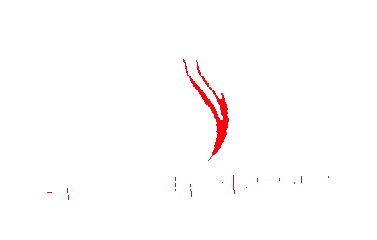 diet