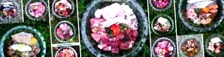 кучета