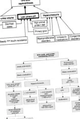 urolithiasis